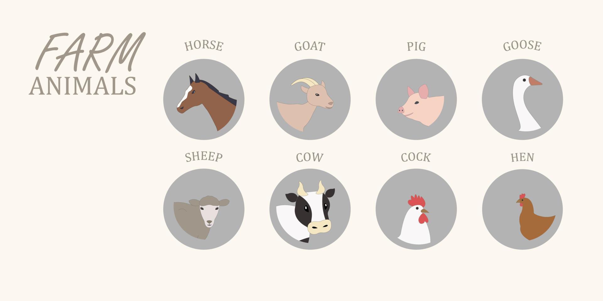 Heads of farm animals, cow, pig, horse, sheep. goat, chicken, goose, poultry, sketch style set with animals, realistic animals set for educational purpuse. vector