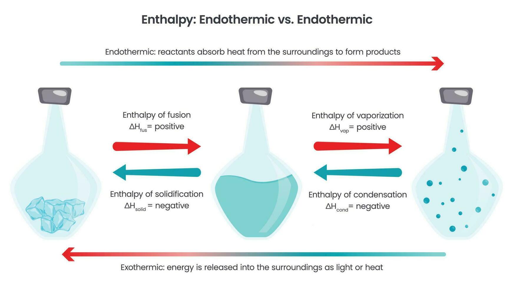 Enthalpy Endothermic versus Endothermic biochemistry vector