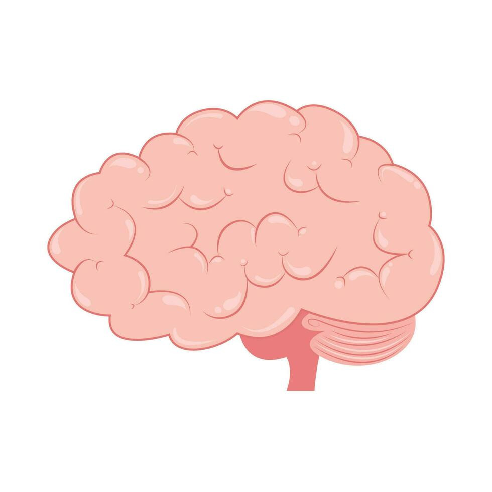 dibujos animados humano cerebro vector ilustración aislado gráfico icono