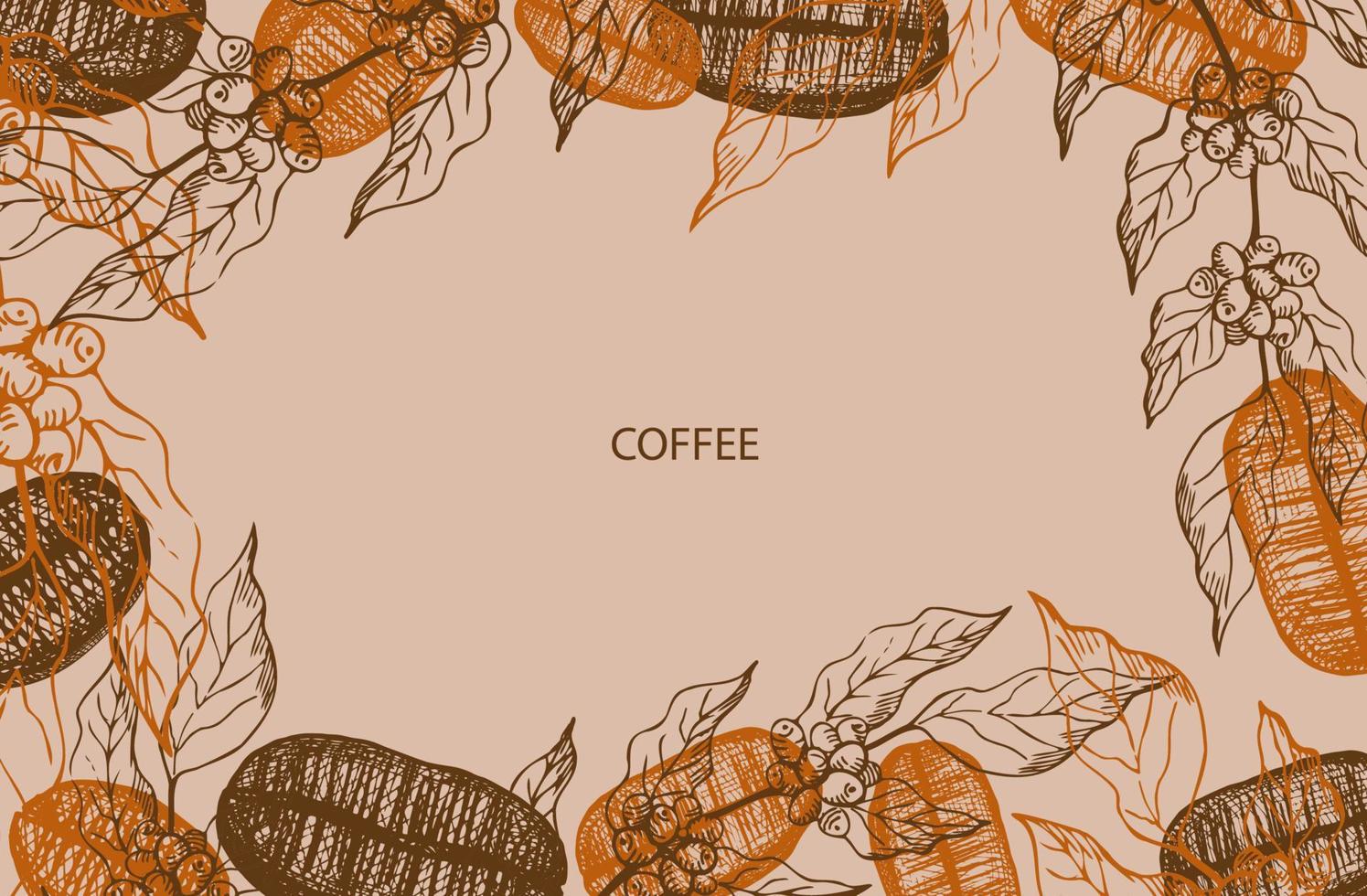 Set with coffee beans and coffee plant. Illustration of a set of hand drawn coffee beans in a sketchy style. Coffee color. Design element. Vector illustration