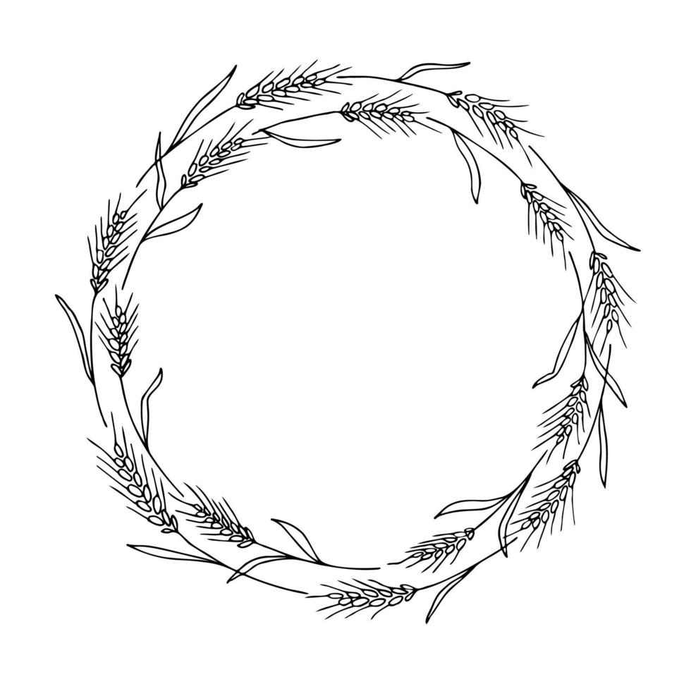 Wreath frame from ears of wheat.A bunch of ears of wheat,dried whole grains.Cereal harvest,agriculture,organic farming,healthy food symbol.Ears of wheat hand drawn.Design element. Isolated background vector