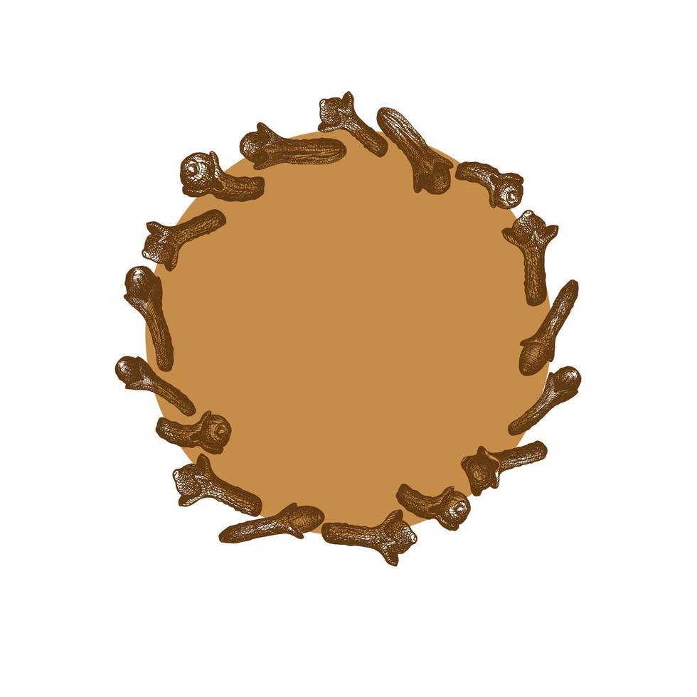 Frame with clove spices. Hand drawn clove tree. Retro botanical art. Medicinal herbs and spices. Vintage buds and seeds of cloves. Herbal illustration isolated on white background.Vector illustration vector