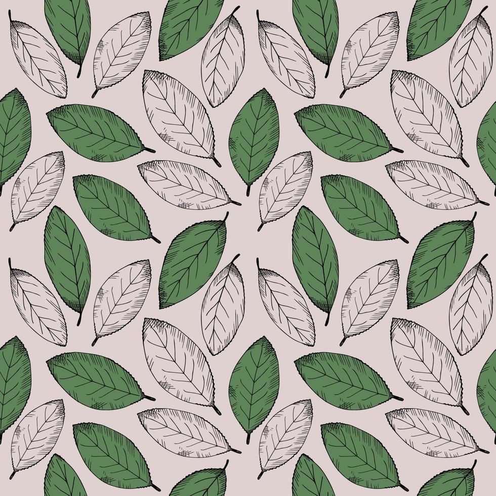 Seamless pattern with bay leaf. Repeating background with laurel leaves. Hand-drawn illustration. Design element. Vector