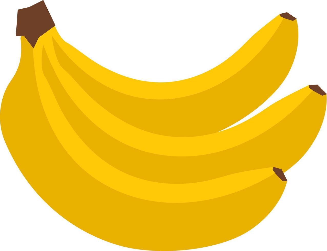 Bananas. Vector isolated on a white background.