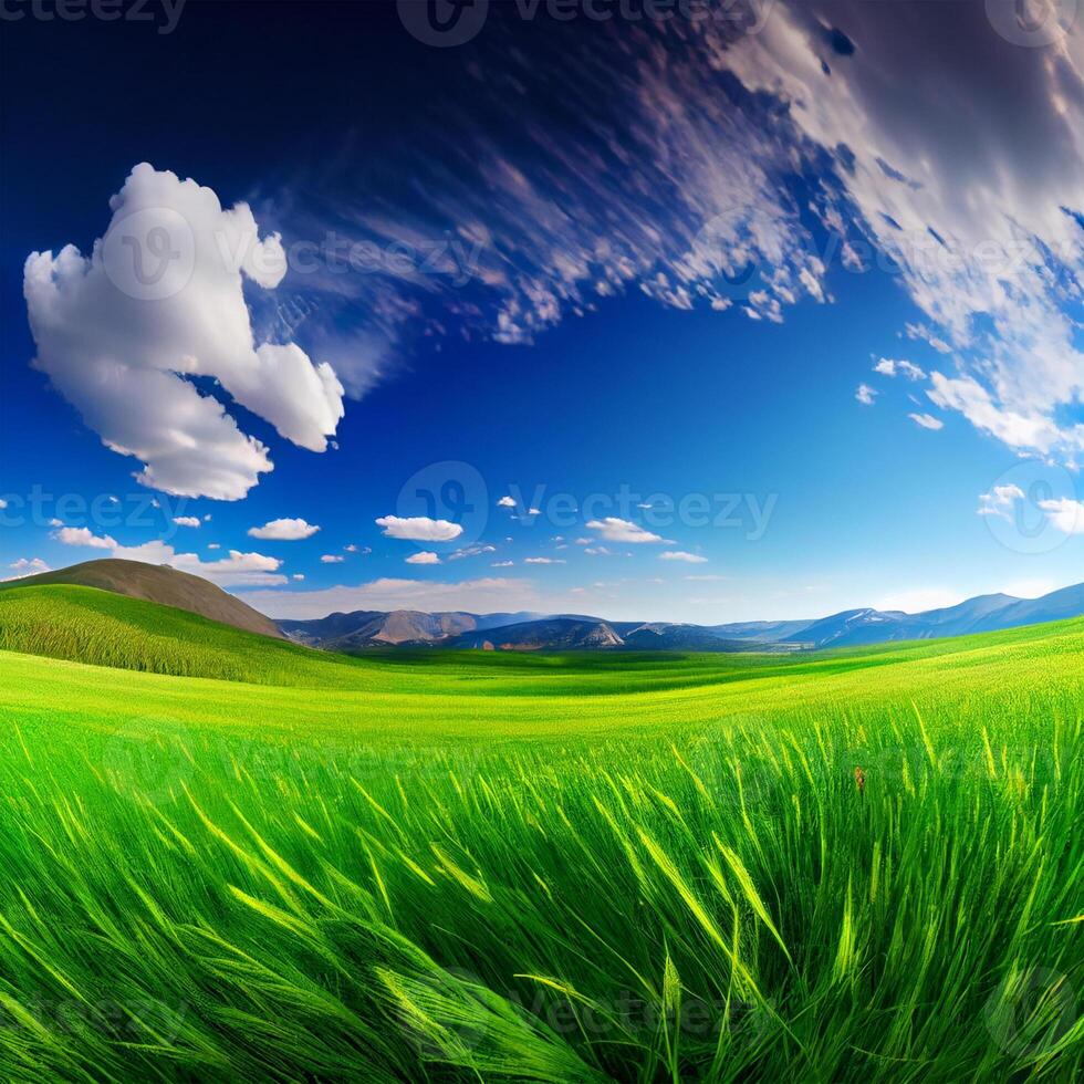 Bright sun shines on green morning grassy meadow, bright blue sky - image photo