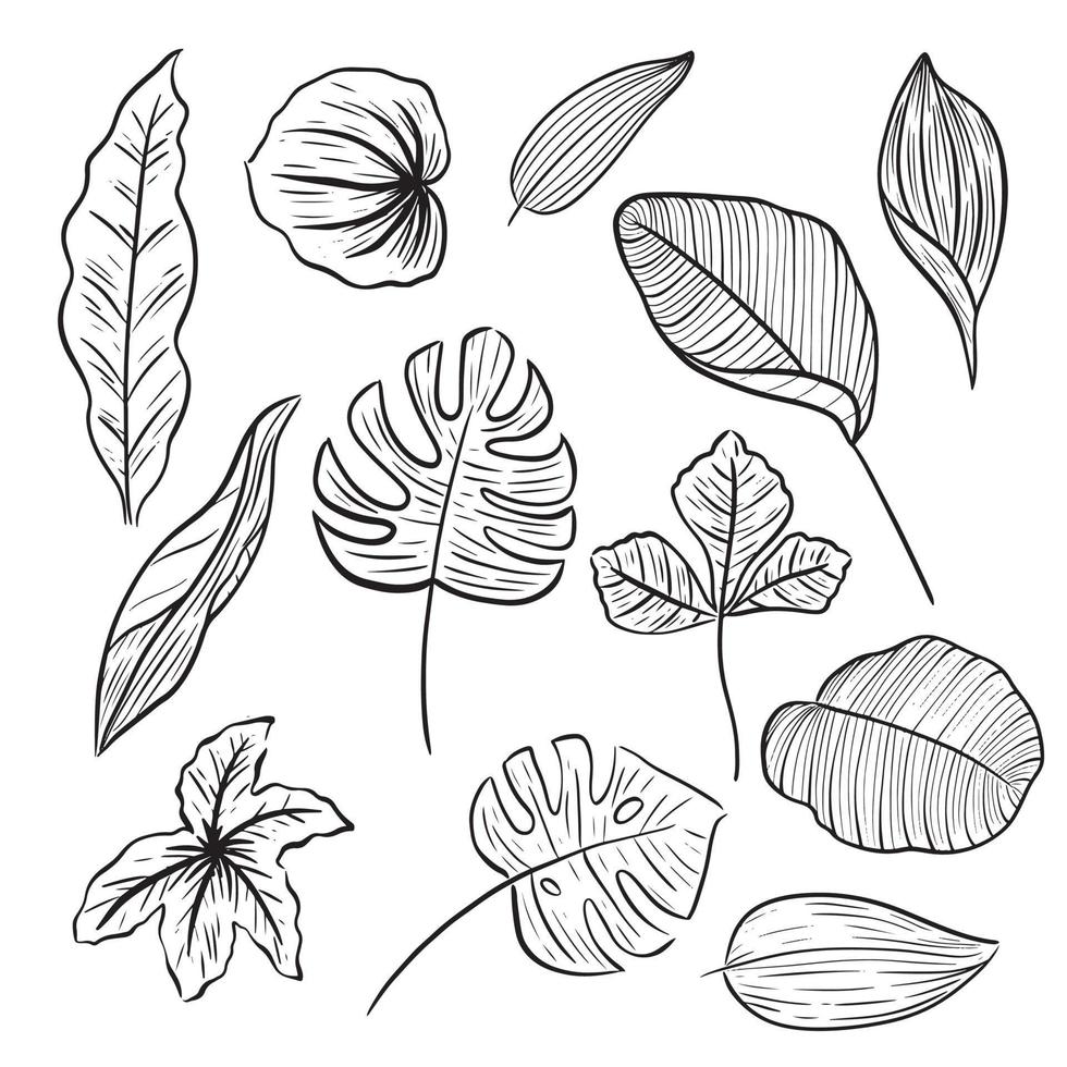 set of leaf hand drawn line doodle aesthetic decoration vector