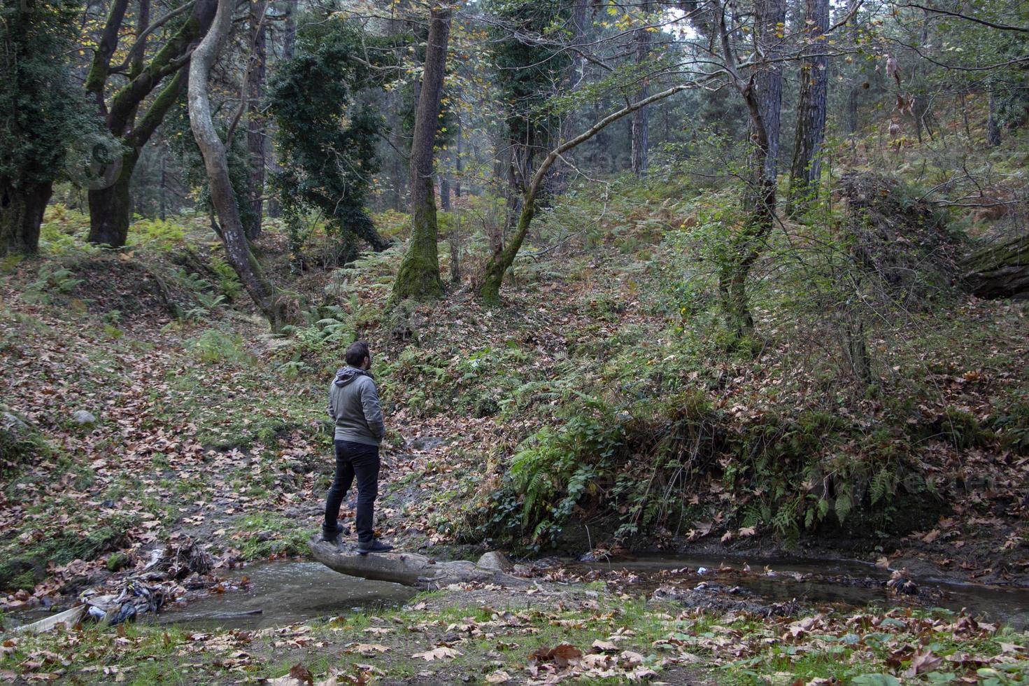 A man walks along a stream in the autumn forest. A man walks through the forest. photo