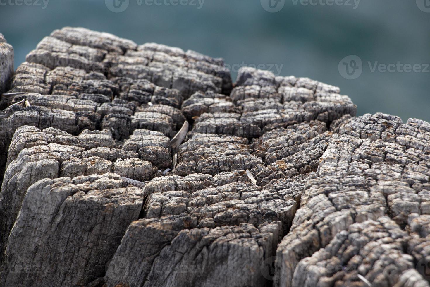 Wooden texture of old wood on the beach. Wooden texture of the surface of the pier. Wooden pier on the background of the sea.Closeup of old weathered wood photo