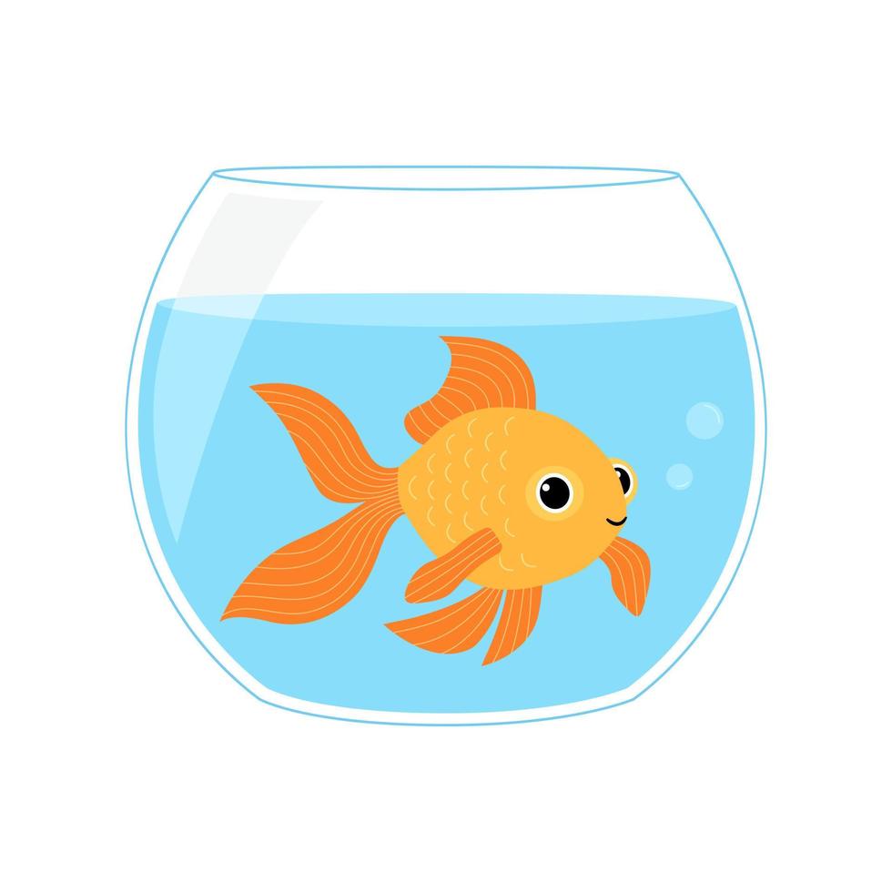 Cute gold fish swimming in round glass bowl aquarium isolated on white background. Vector flat illustration