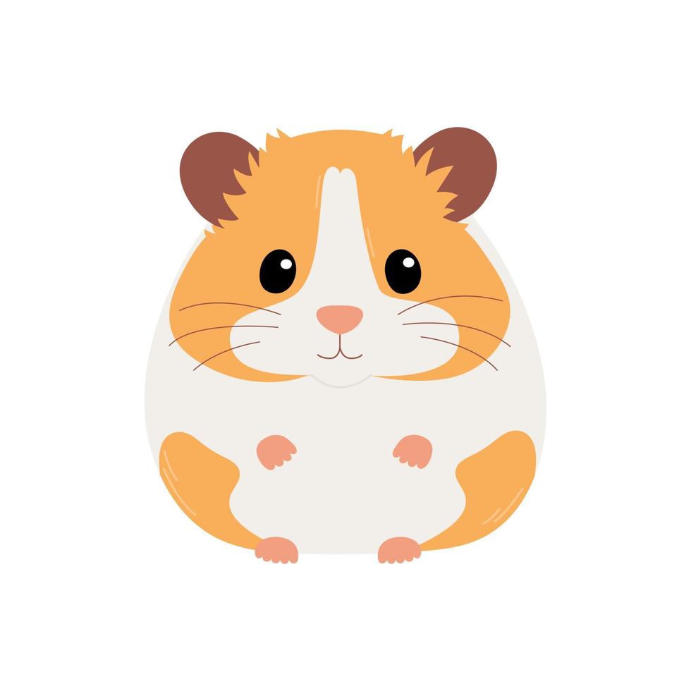 Cute orange and white syrian hamster isolated on white background. Vector flat illustration