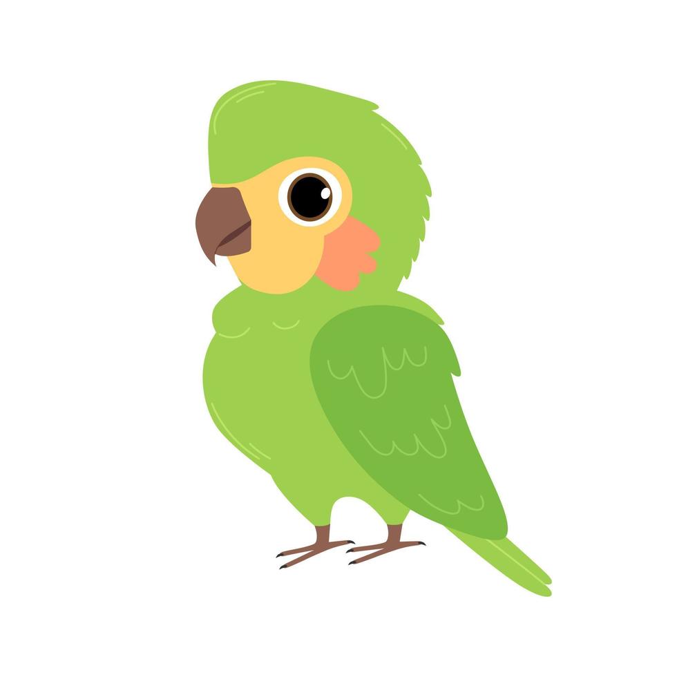 Cute green parrot isolated on white background. Vector flat illustration