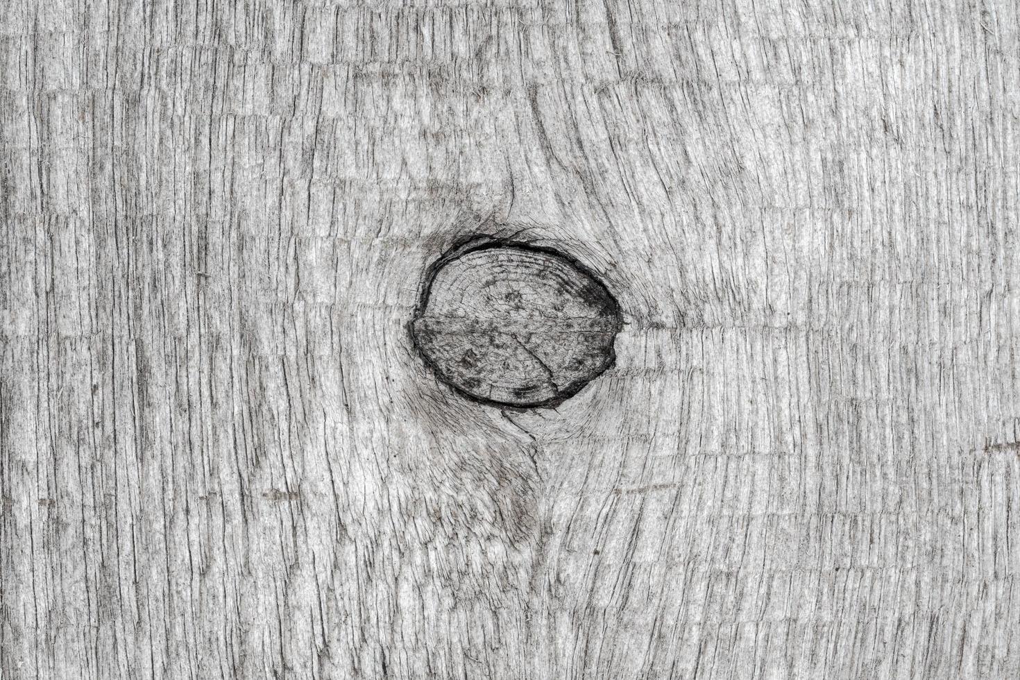 gris antiguo madera antecedentes con estructura nudo. de cerca natural antiguo textura, de madera modelo foto