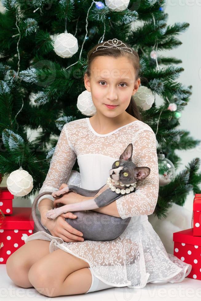 Portrait of girl 9 years old in white dress holding Sphynx Hairless Cat sits near Christmas tree photo