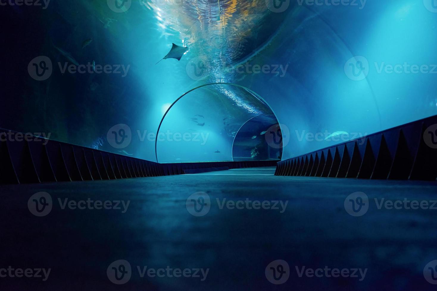 Underwater oceanarium tunnel photo