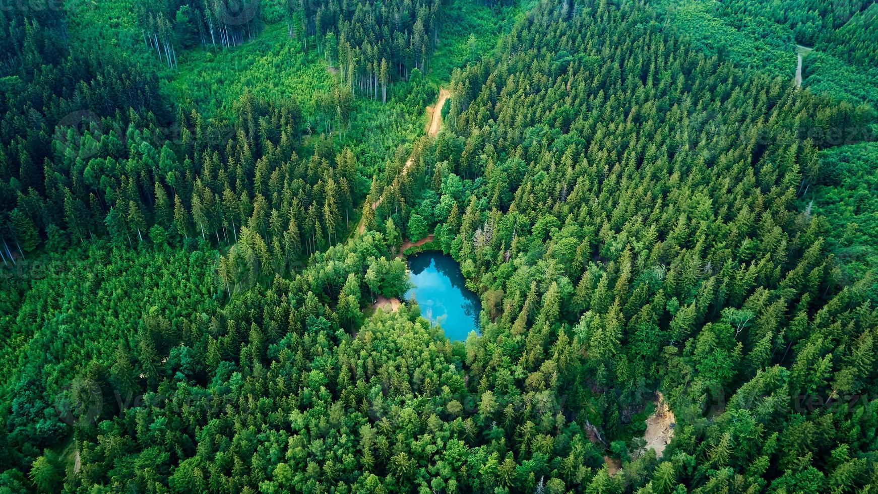 Aerial view of blue colored forest lake in Poland photo