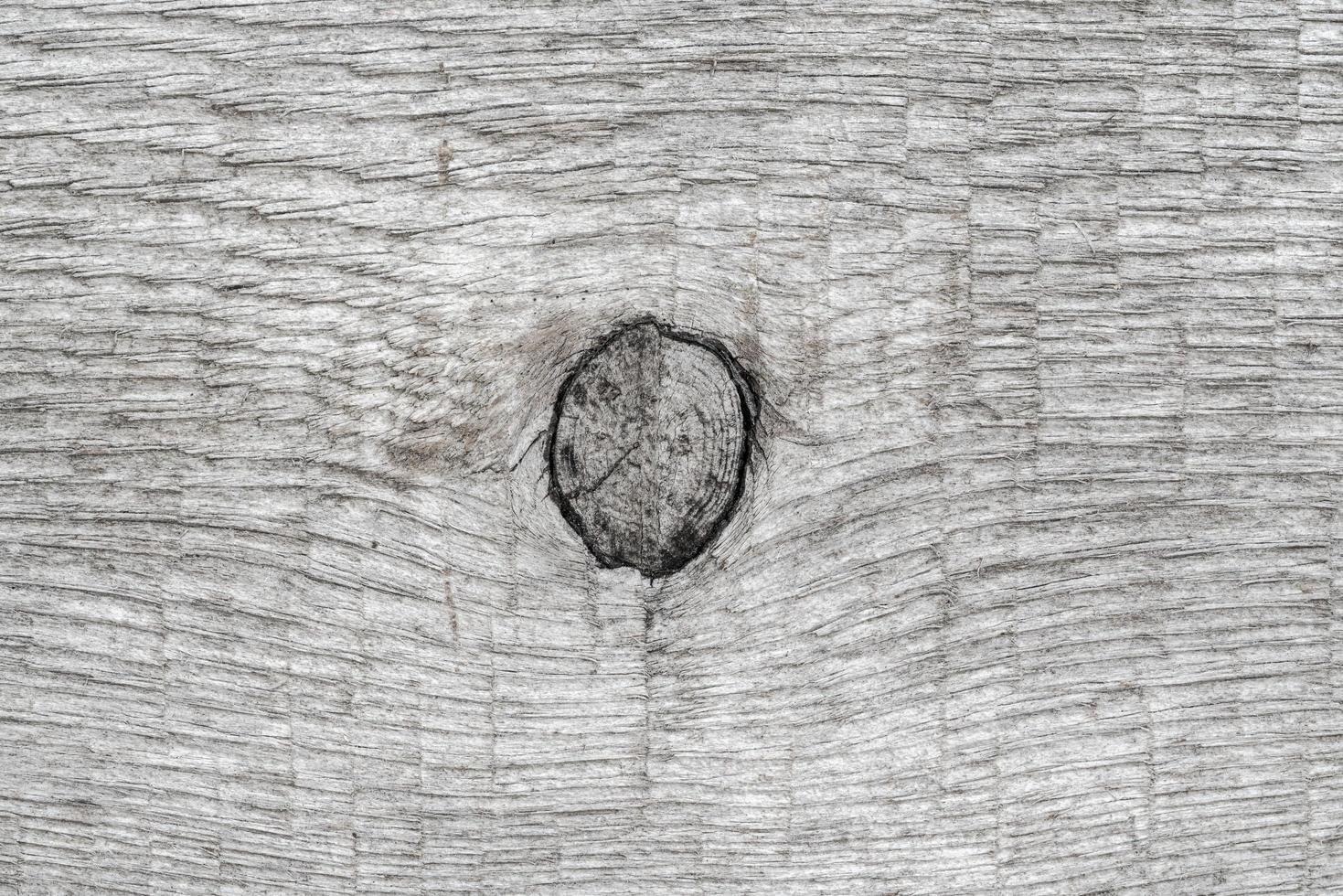 Gray natural wood background with knot. Close-up wooden pattern, ancient texture photo