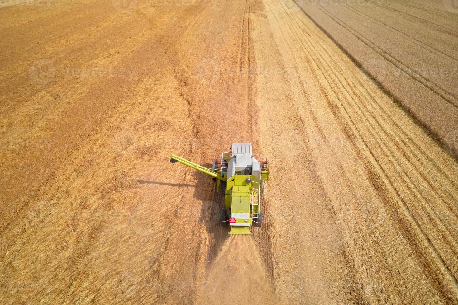 Aerial view of working harvesting combine in wheat field, Harvest season photo