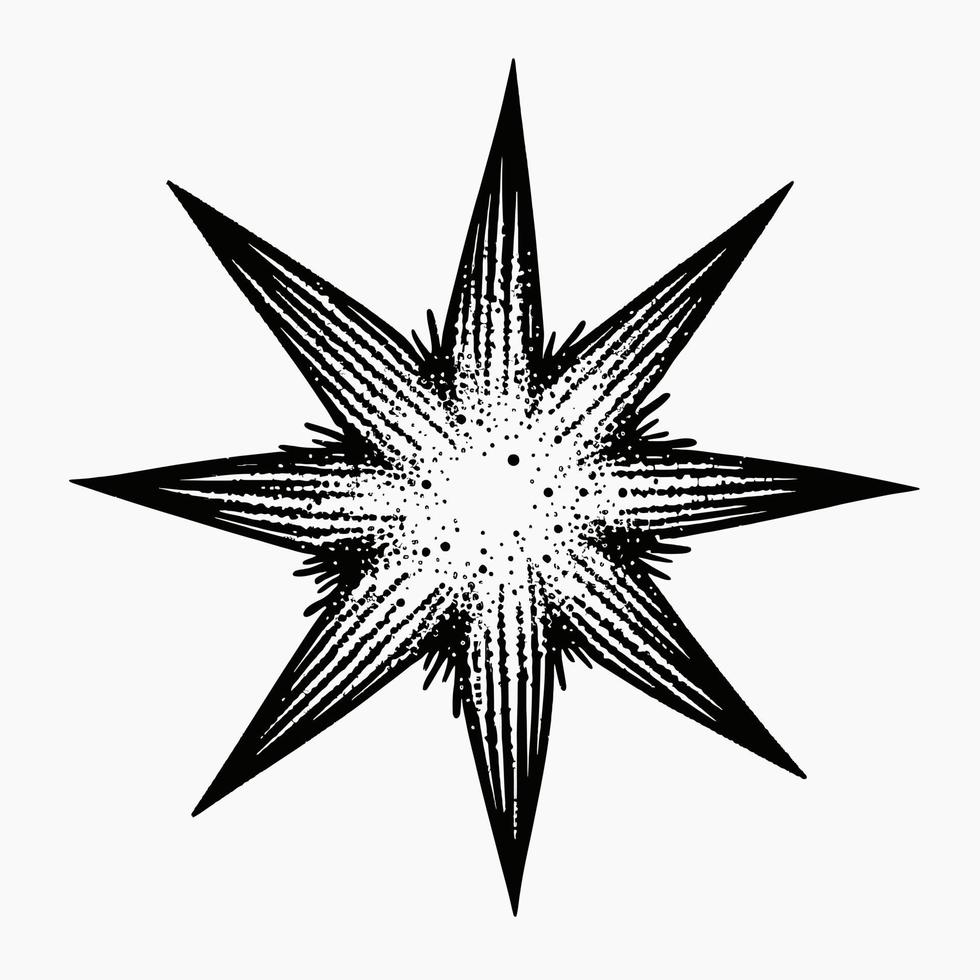 estrella mano dibujado estrella icono firmar - cepillo dibujo caligrafía estrella negro estrellas símbolo - estrella dibujos animados vector ilustración Pro vector