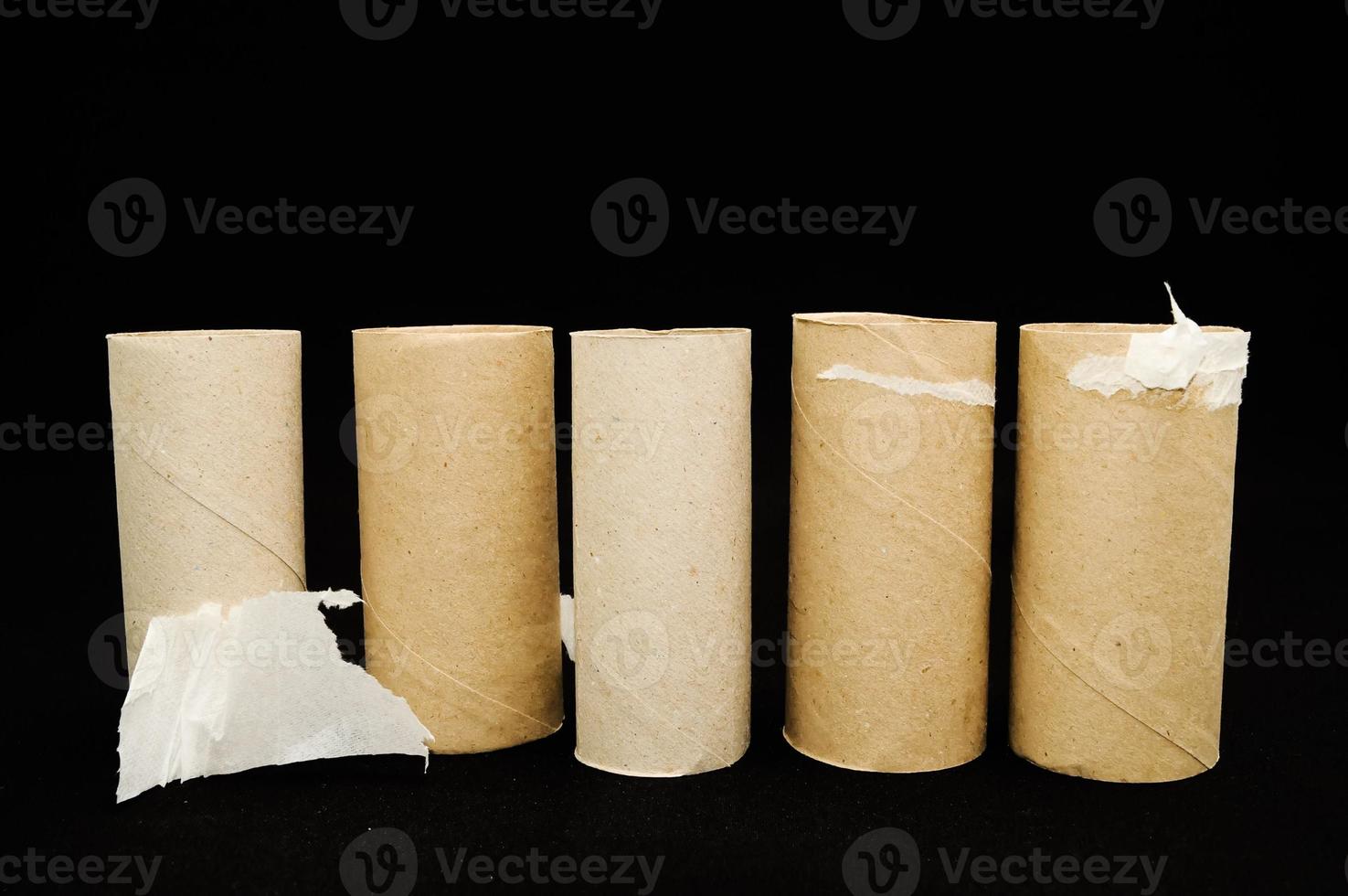 Empty rolls of toilet paper photo