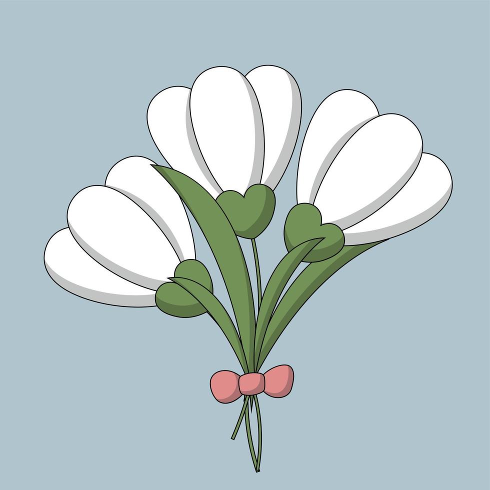 Flower snowdrop bouquet with bow in color vector