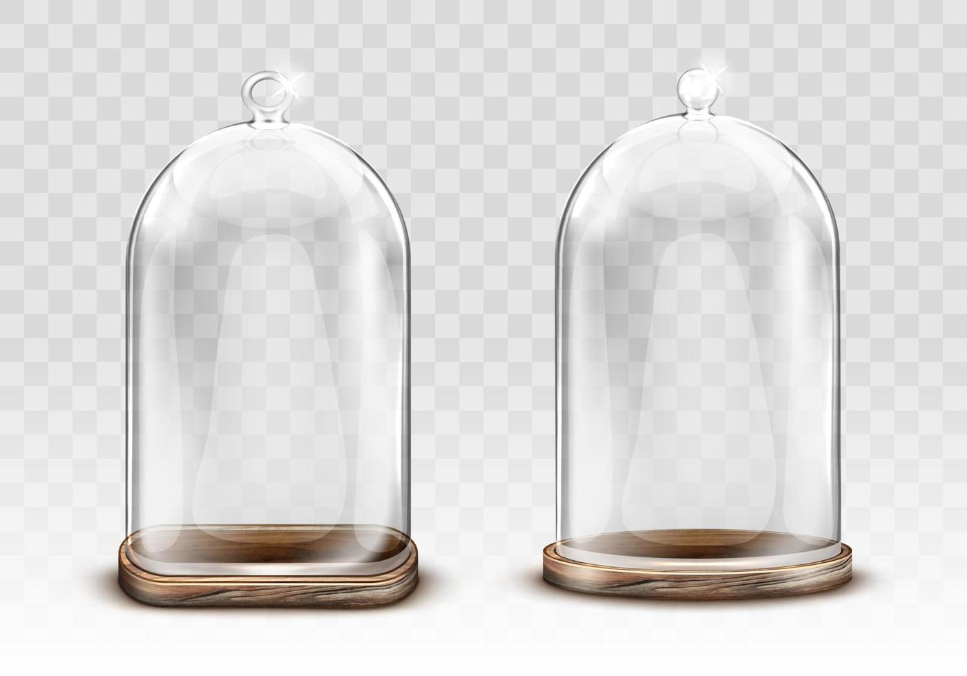 Vintage glass dome and wooden tray realistic vector