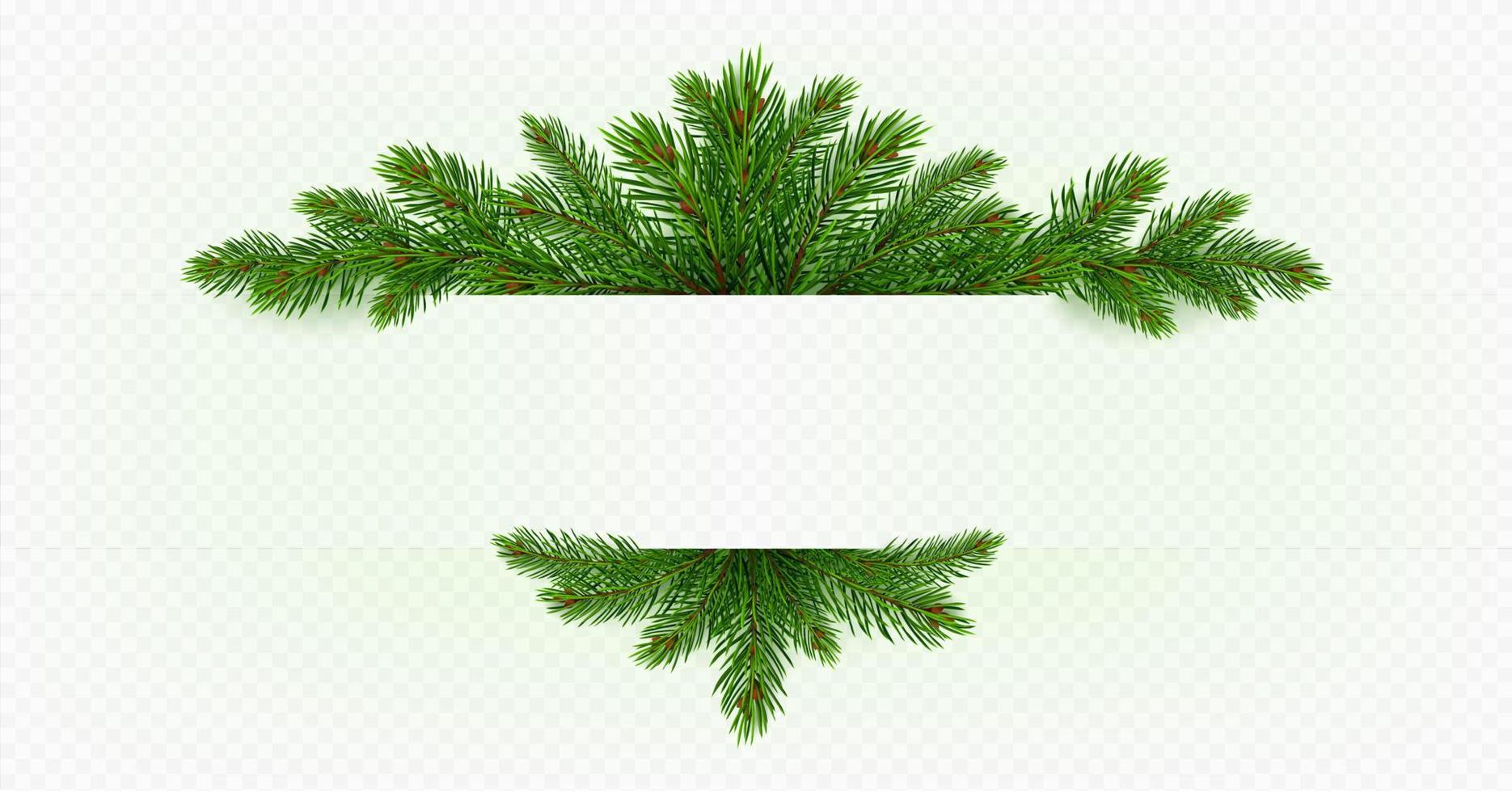 Pine Branches with Green Needles Stock Vector - Illustration of