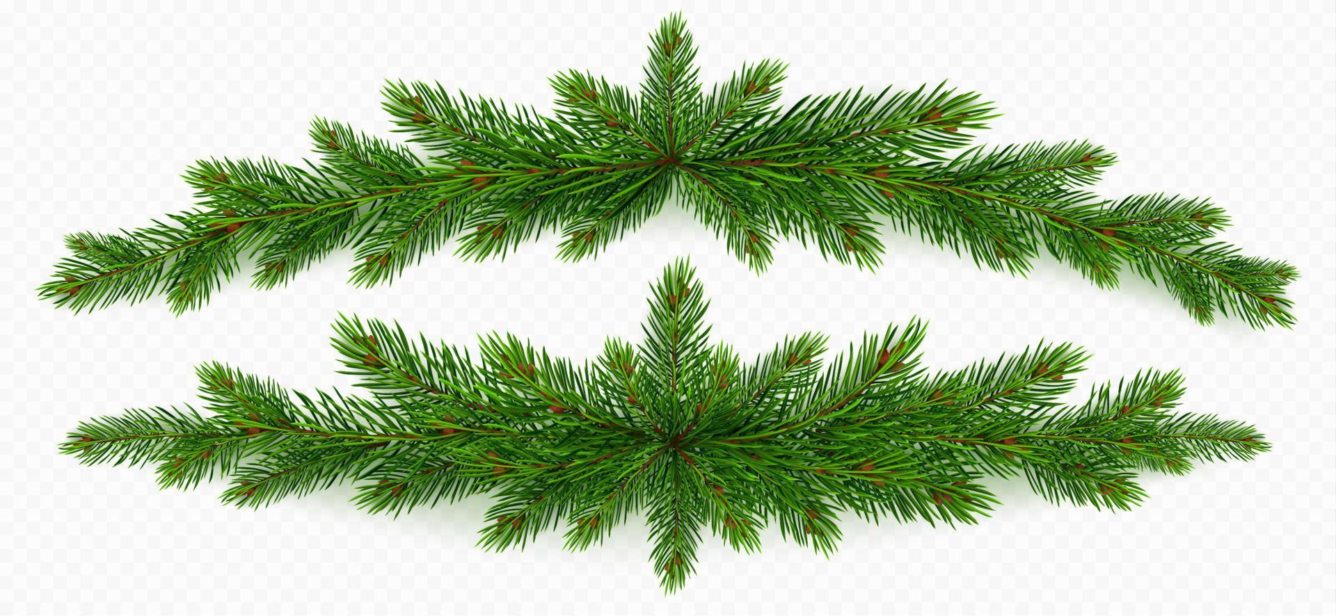 Pine tree branch christmas garland. green fir twig vector