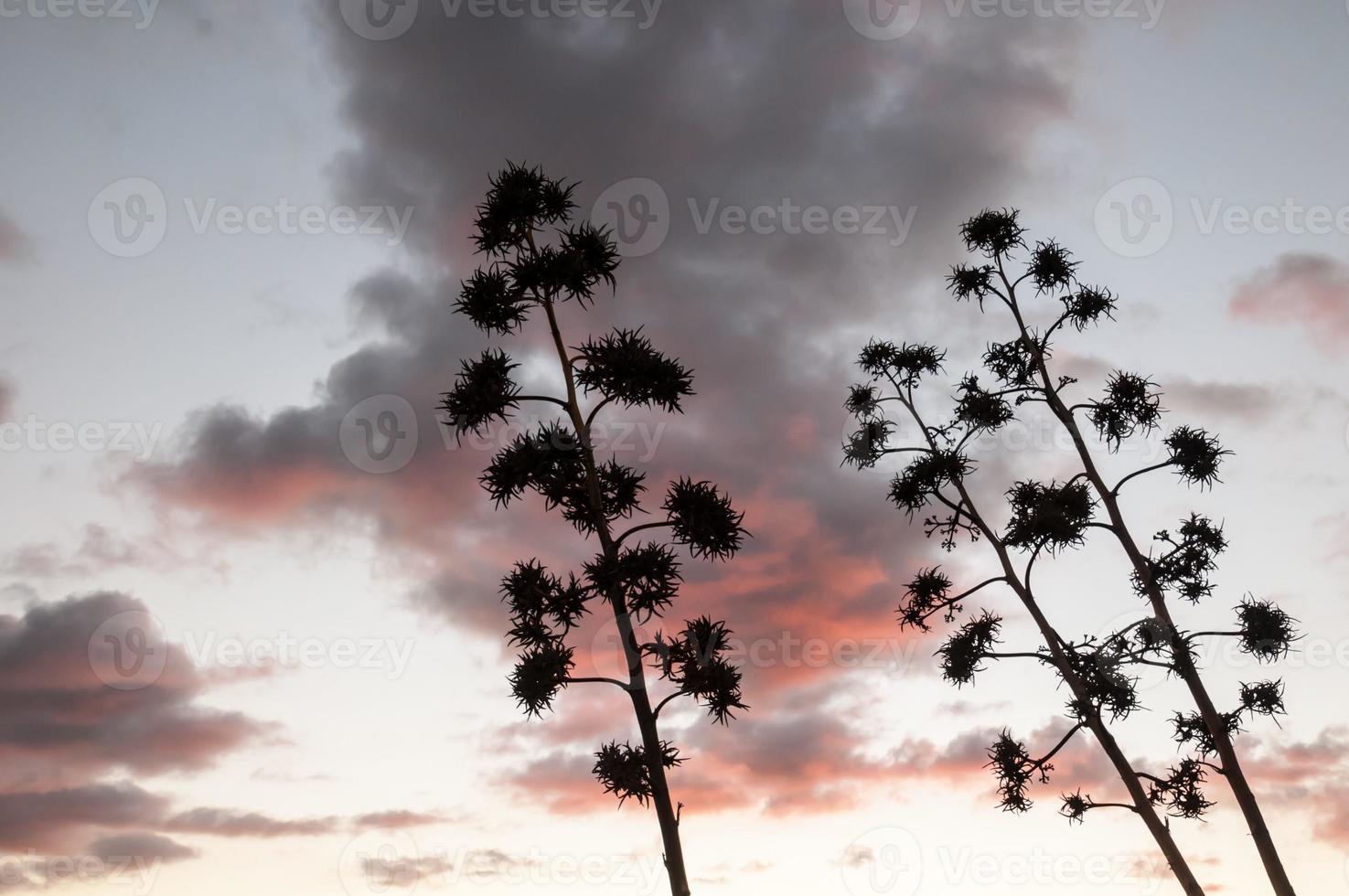 Beautiful cloudy sky photo