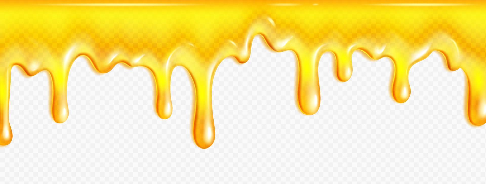 Realistic melted honey on transparent background vector