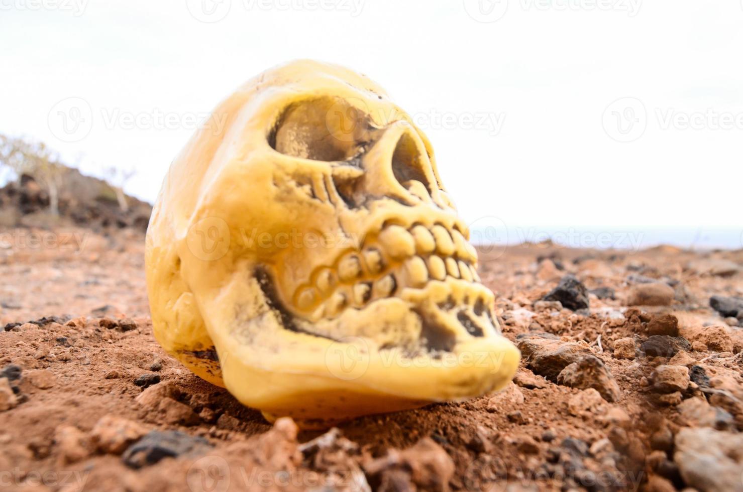 Plastic skull in the sand photo