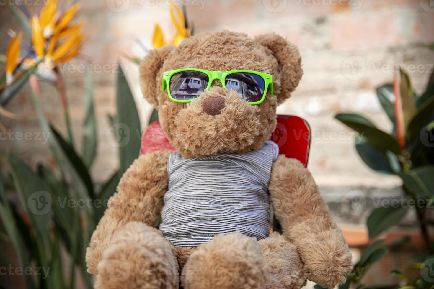 teddy bear with sunglasses in a garden photo