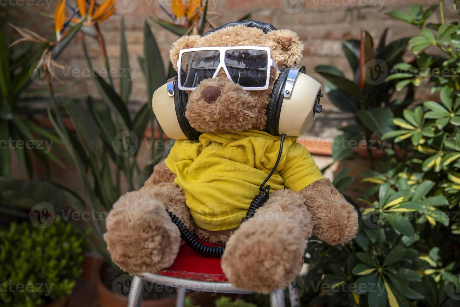 teddy bear with sunglasses in a garden photo