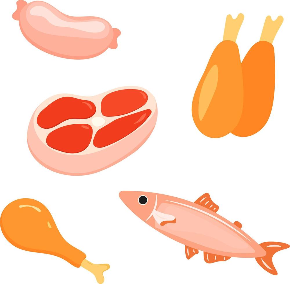 establecer comida variada. ingredientes para cocinar. pescado, carne, pavo, pollo, salchicha. lindo estilo plano. vector