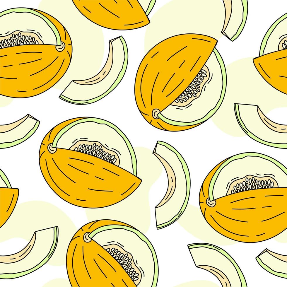 Melon Pattern seamless on white background Vector Illustration