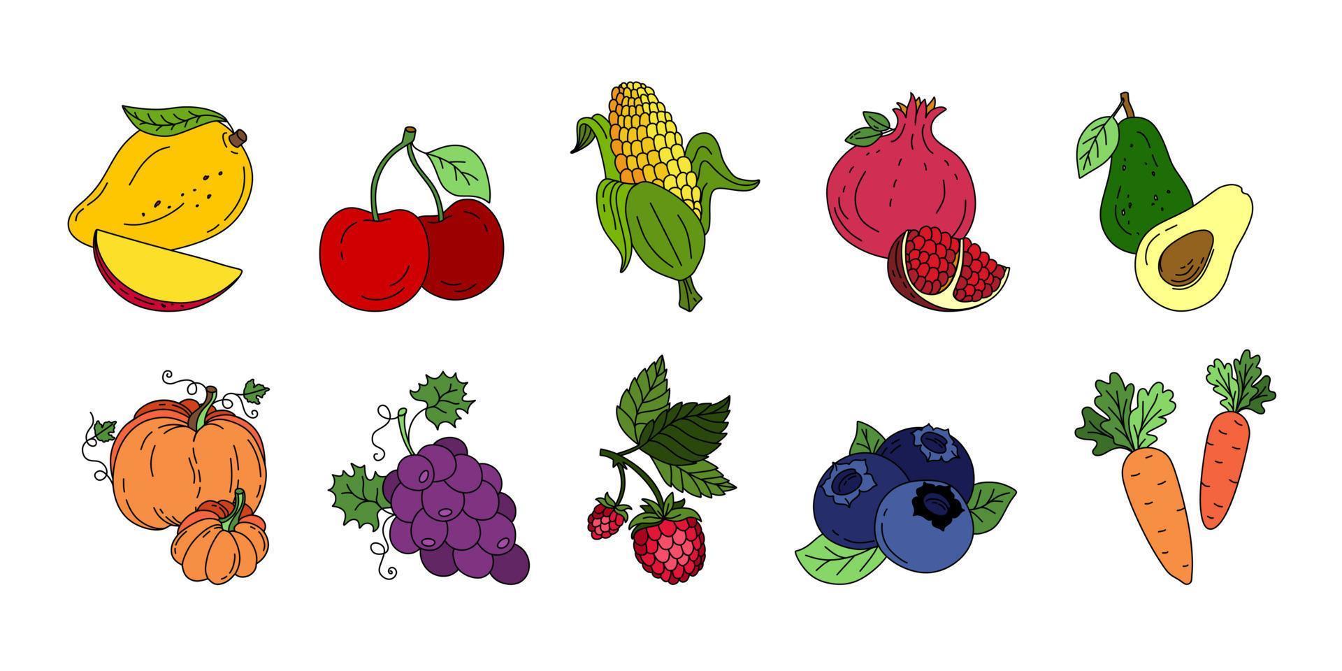 Exotic fruit set doodle Vector color illustration isolated on white background