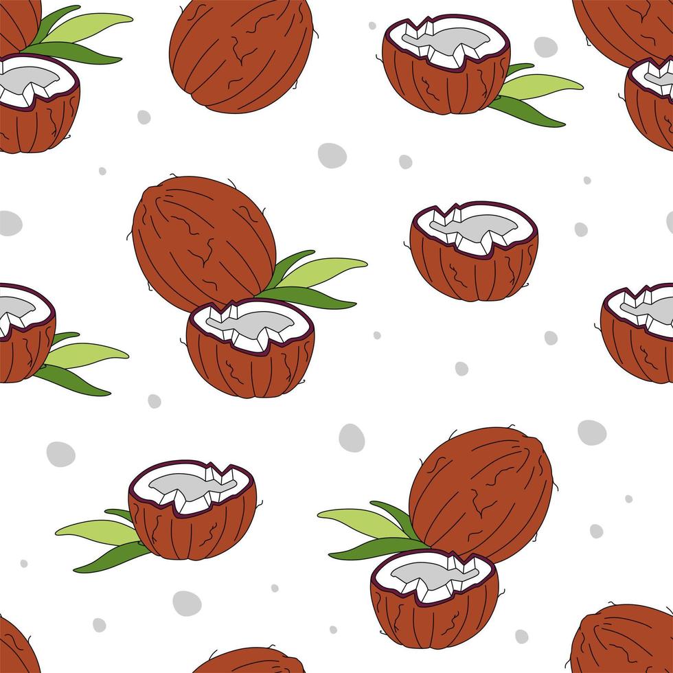 Coconut Pattern seamless on white background Vector Illustration