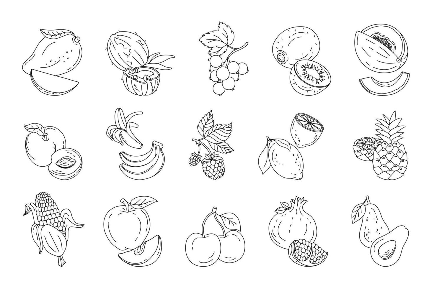 Fruits and berries doodle set Vector black and white illustration isolated on a white background