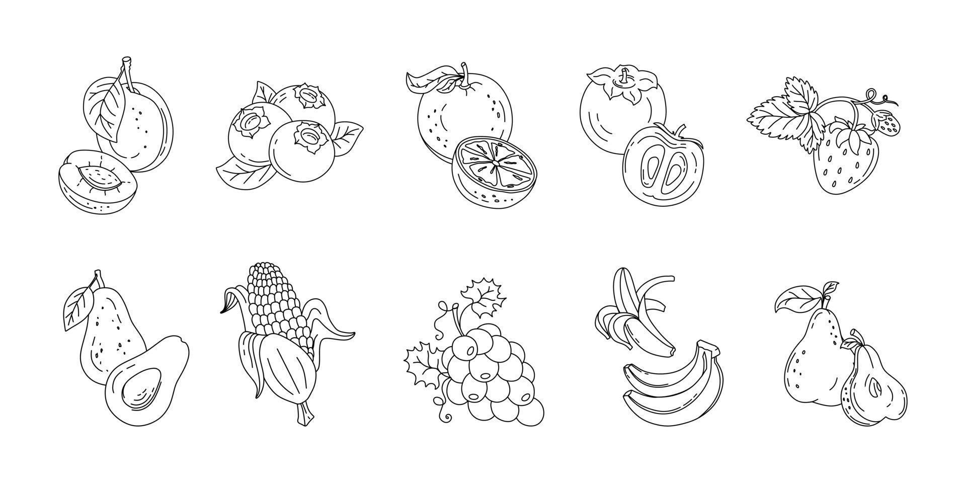 Fruits and berries doodle set Vector black and white illustration isolated on a white background