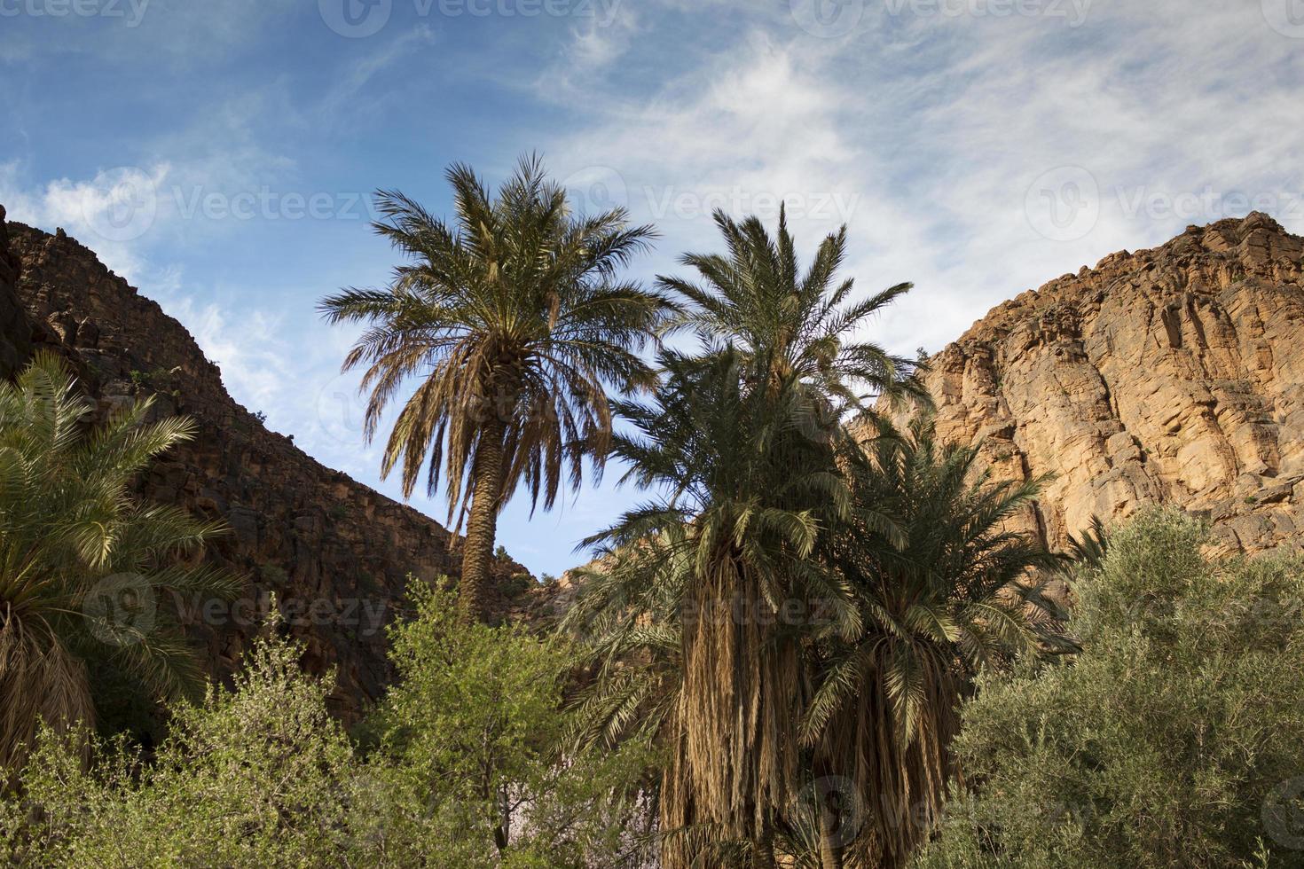 amtoudi gorge morocco photo