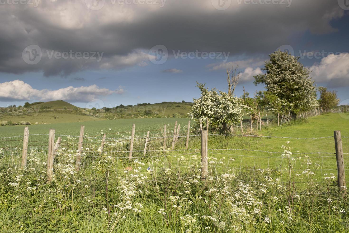 english countryside in the chiltern valley photo