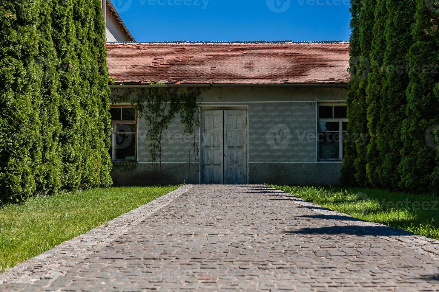 Alley of trees leading to the house with old doors photo