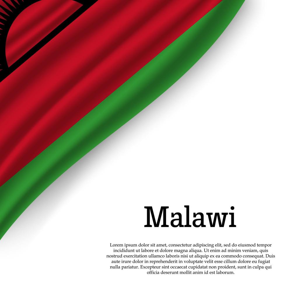 waving flag of Malawi vector