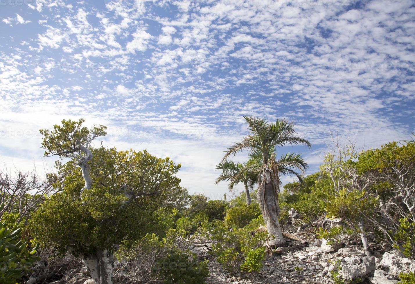 medio Luna isla pequeña isla Cloudscape y desierto foto