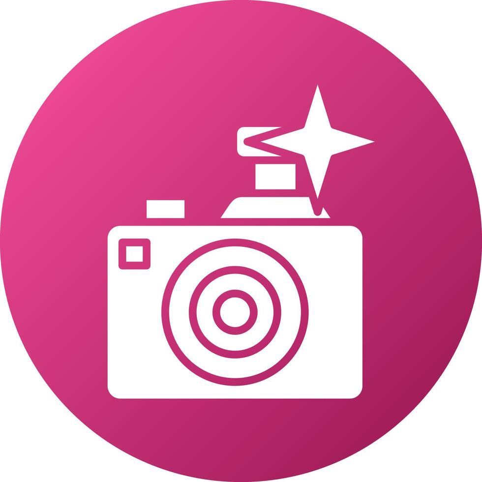 Flash Camera Icon Style vector