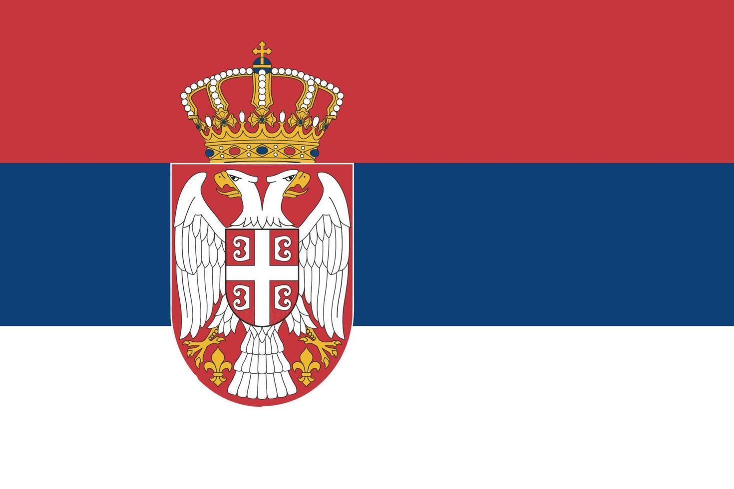 Simple flag Correct size, proportion, colors. vector