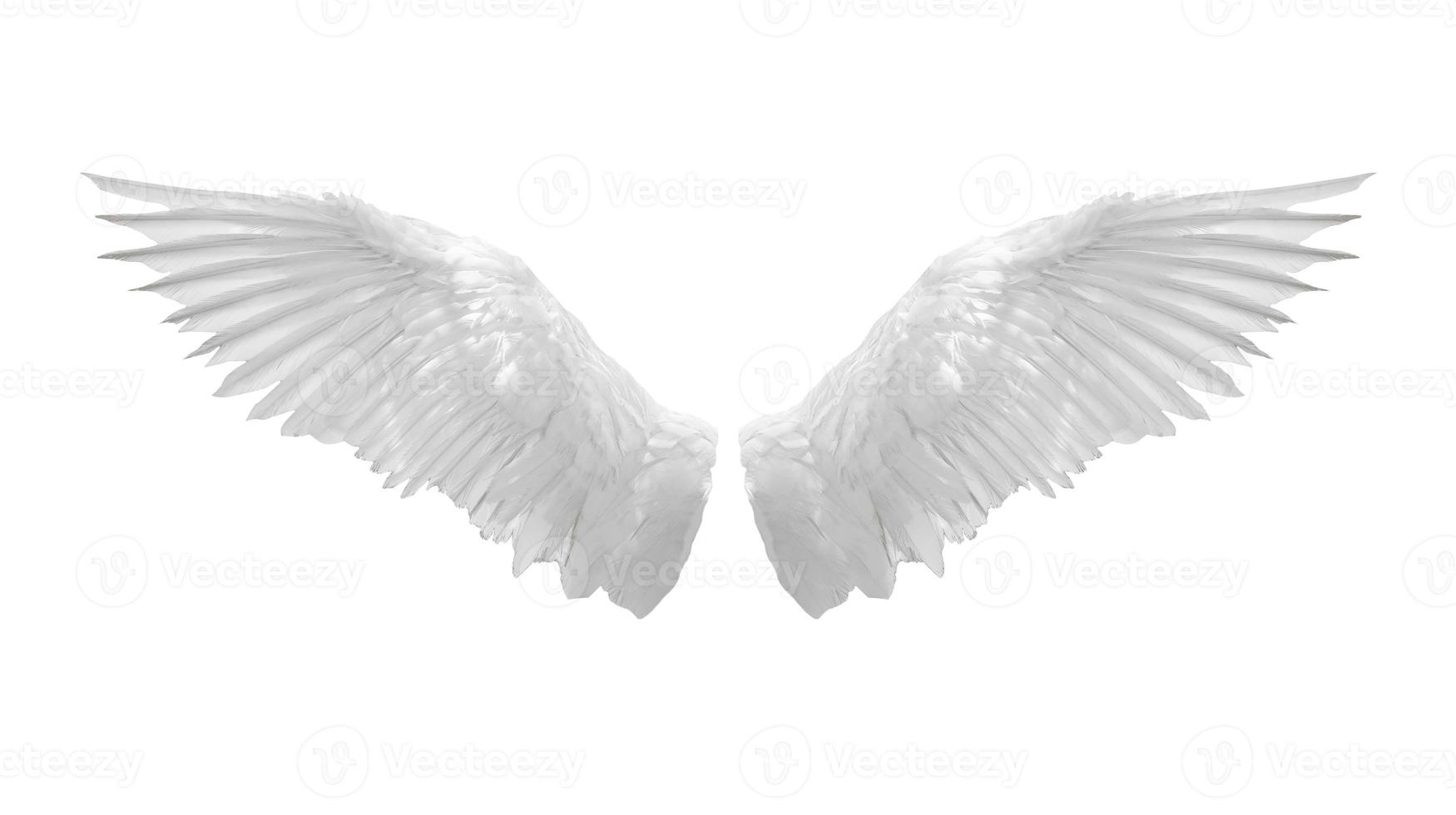 Angel wings isolated on white background photo