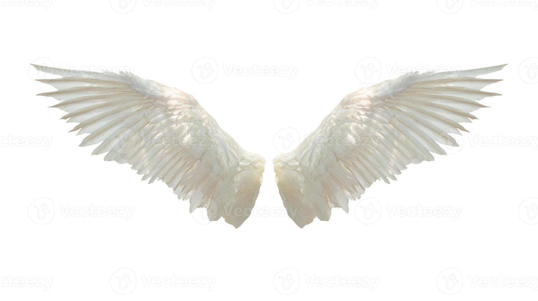 Angel wings isolated on white background photo