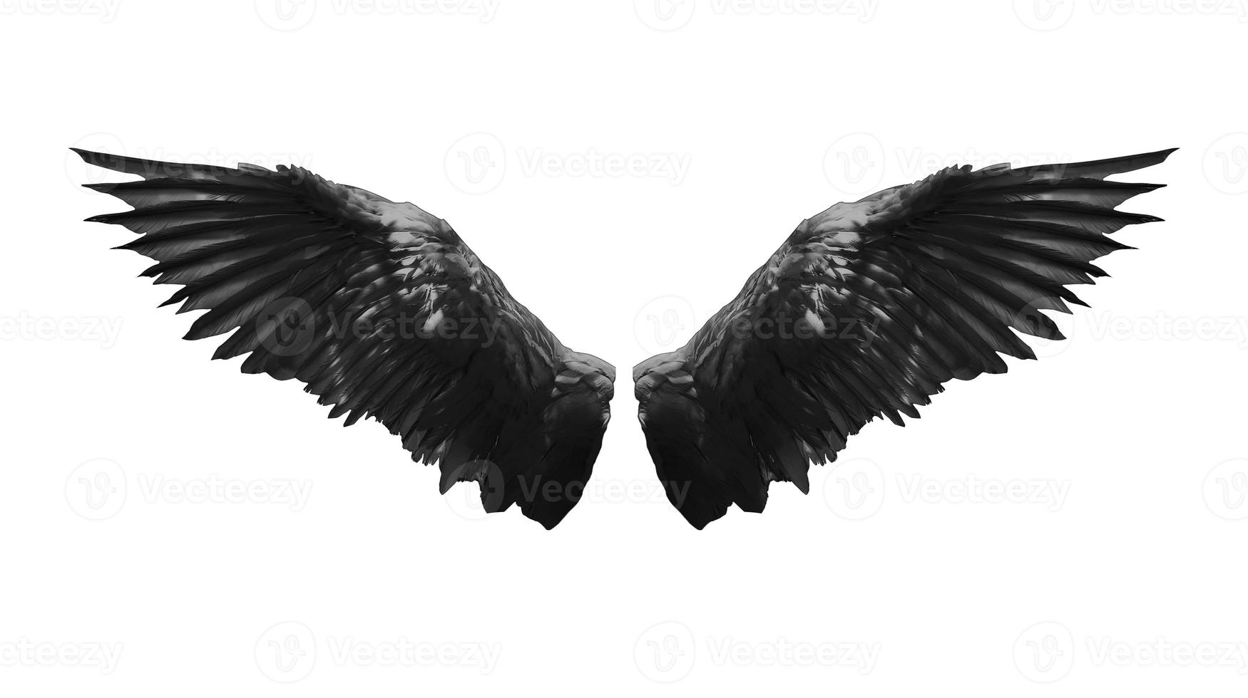 Angel wings isolated on white background photo