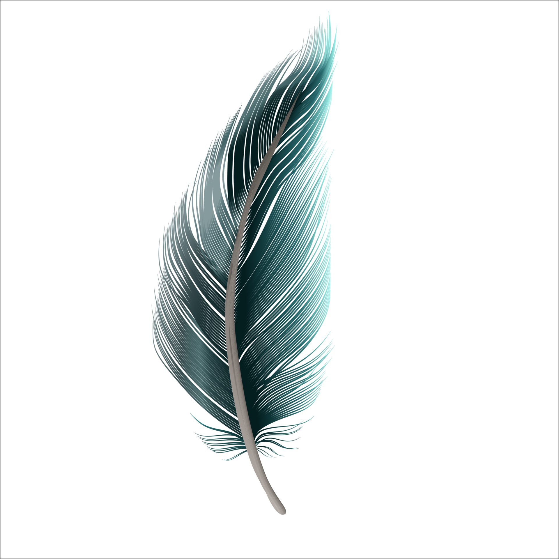 peacock-feather-transparent-background-21809494-png