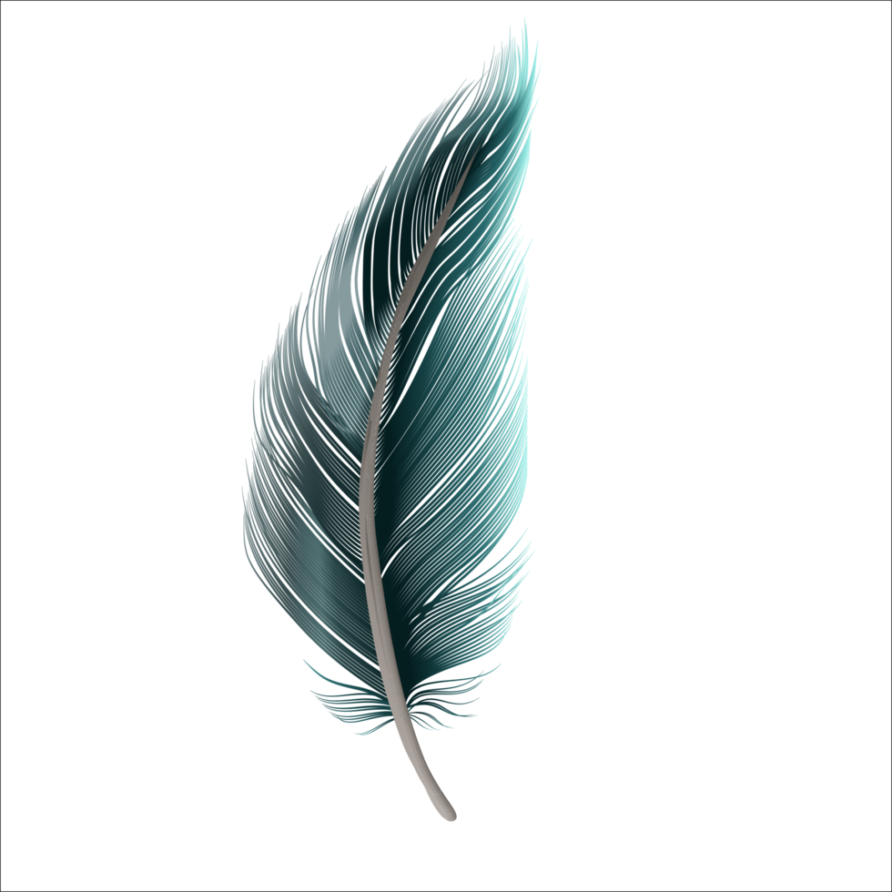 Feather PNGs for Free Download